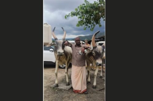 withkaalai