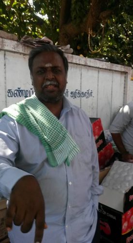 jallikattu uprise1