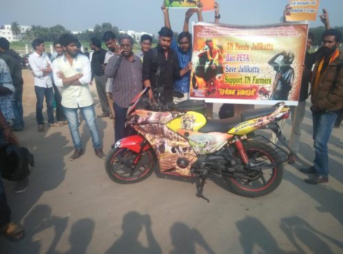 jallikattu uprise2